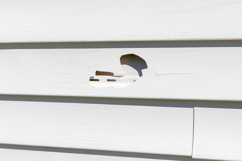 Fixing Cracks in Vinyl Siding